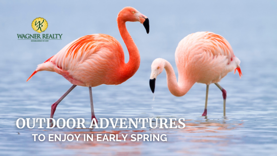 Top Outdoor Adventures to Enjoy in Early Spring | Wagner Realty